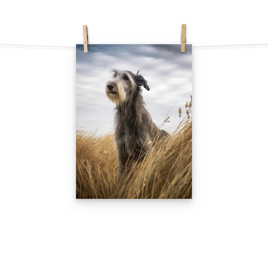 Scottish Deerhound Photo paper poster - PosterfyAI.com