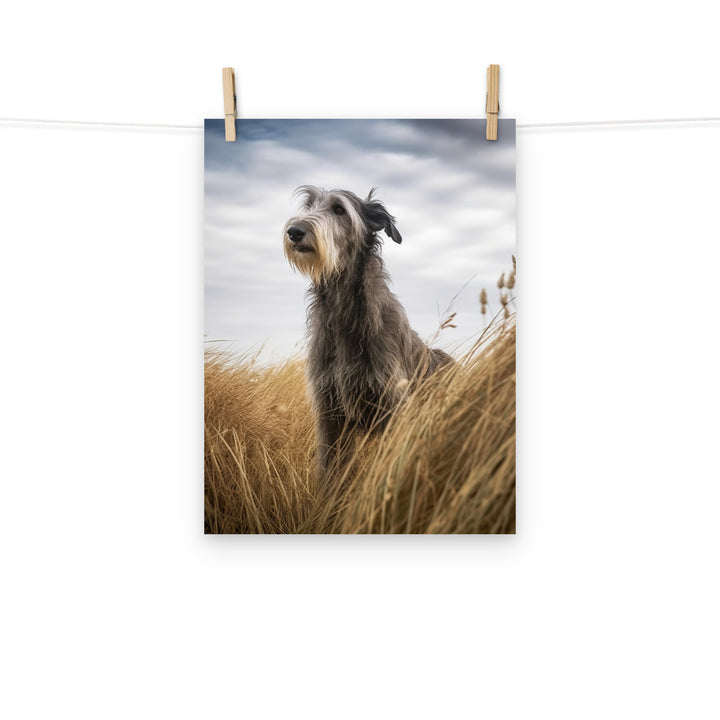 Scottish Deerhound Photo paper poster - PosterfyAI.com