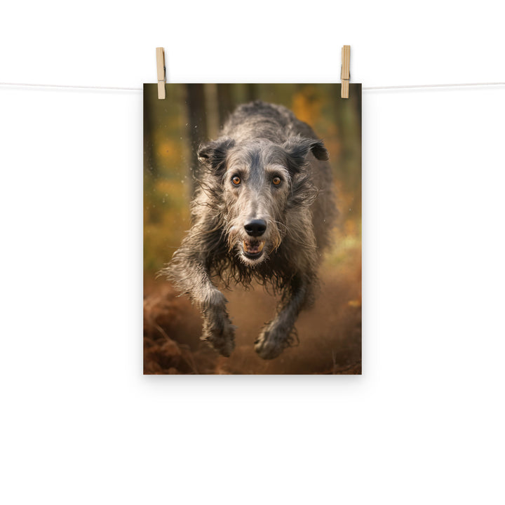 Scottish Deerhound Photo paper poster - PosterfyAI.com