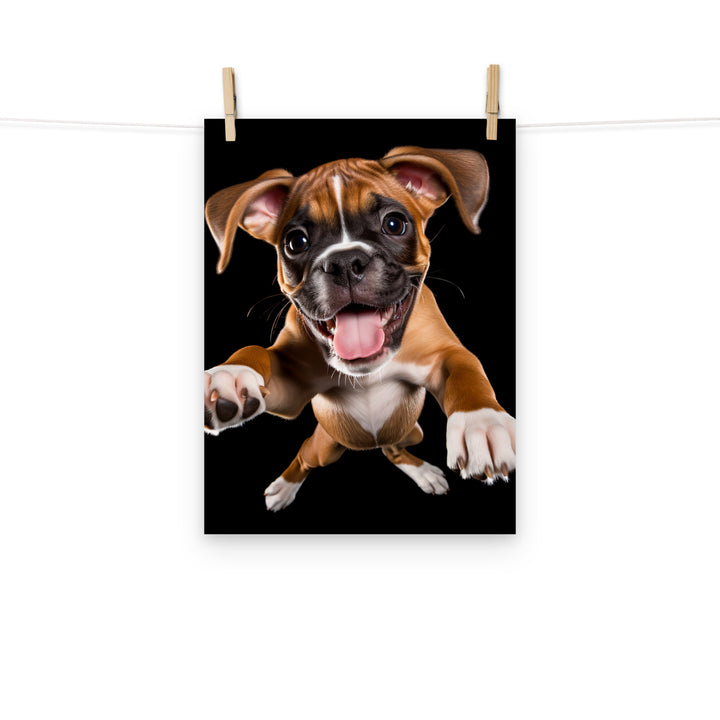 Boxer Photo paper poster - PosterfyAI.com