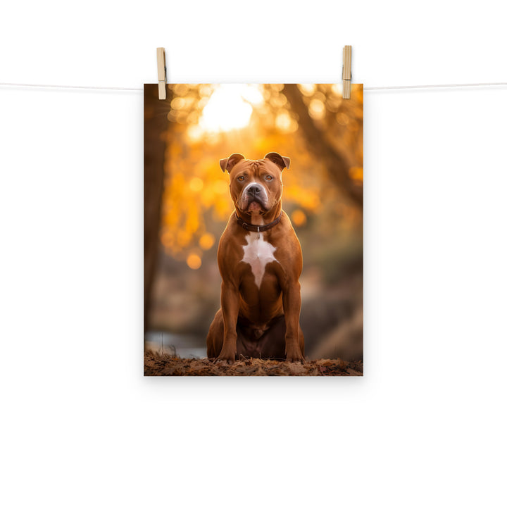 American Staffordshire Terrier Photo paper poster - PosterfyAI.com