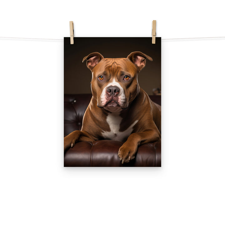 American Staffordshire Terrier Photo paper poster - PosterfyAI.com