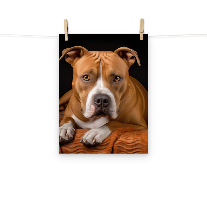 American Staffordshire Terrier Photo paper poster - PosterfyAI.com