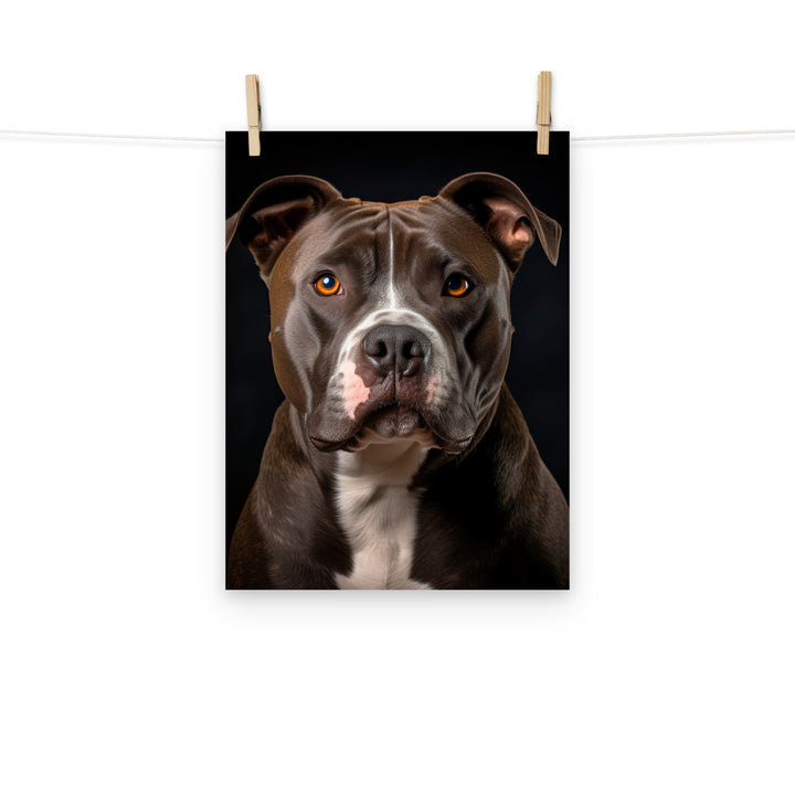 American Staffordshire Terrier Photo paper poster - PosterfyAI.com