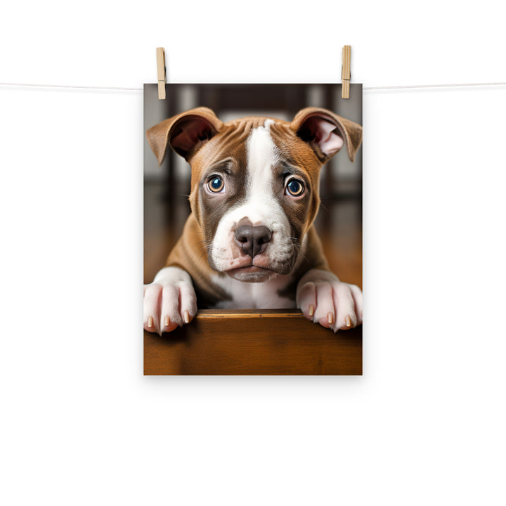 American Staffordshire Terrier Photo paper poster - PosterfyAI.com