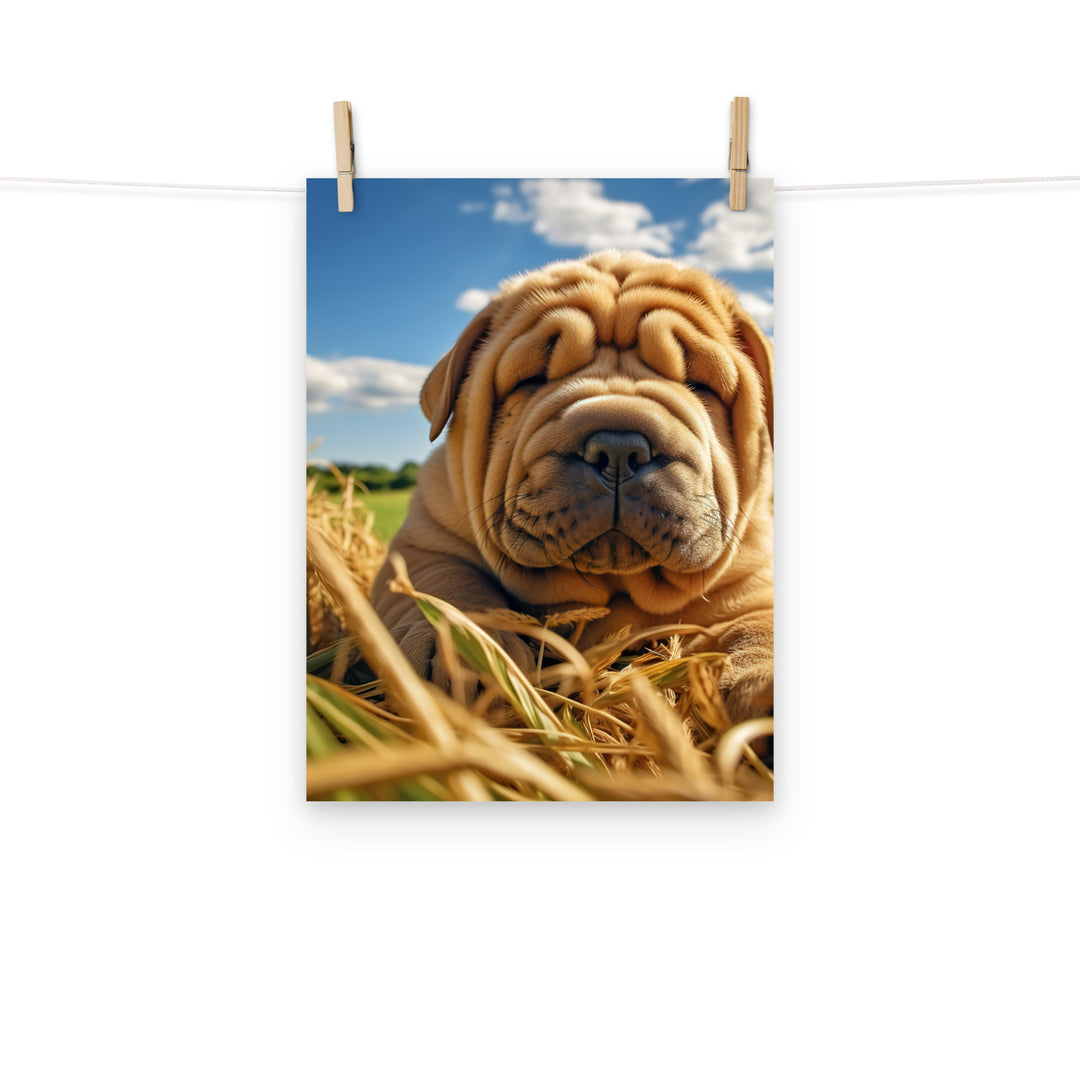 Shar Pei Photo paper poster - PosterfyAI.com