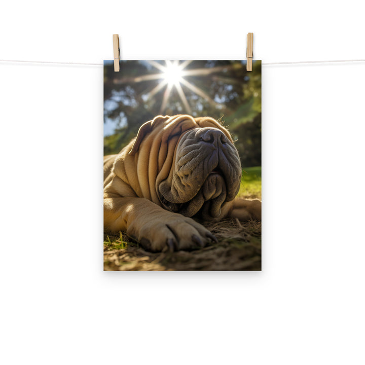 Shar Pei Photo paper poster - PosterfyAI.com