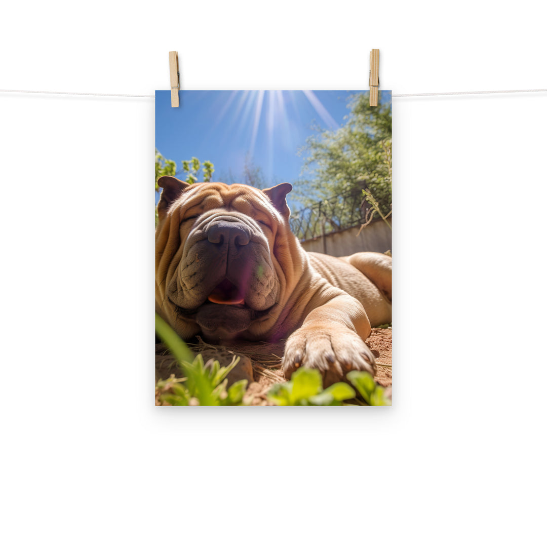 Shar Pei Photo paper poster - PosterfyAI.com