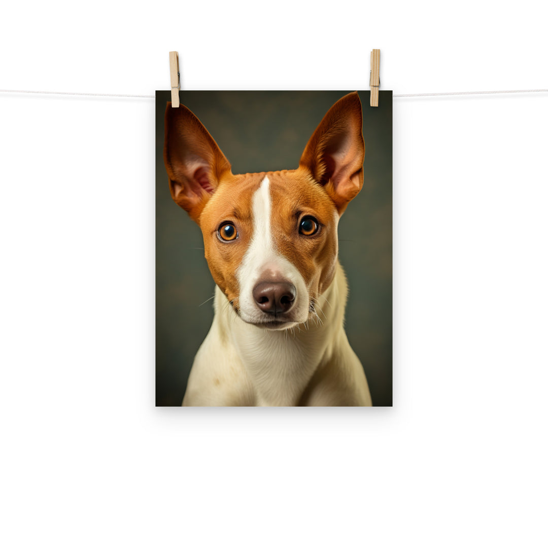 Basenji Photo paper poster - PosterfyAI.com