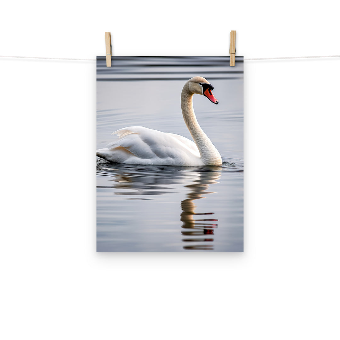 Swan Photo paper poster - PosterfyAI.com