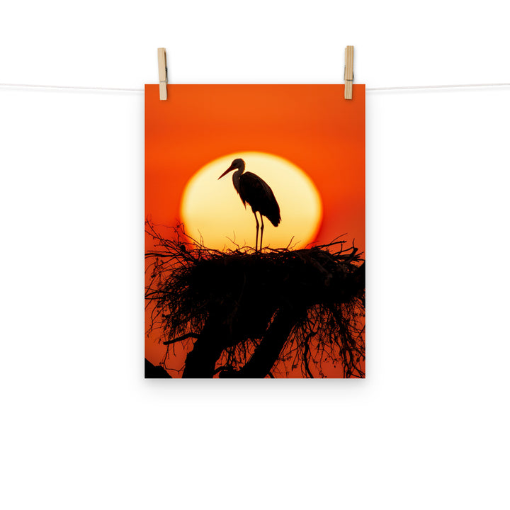 Stork Photo paper poster - PosterfyAI.com