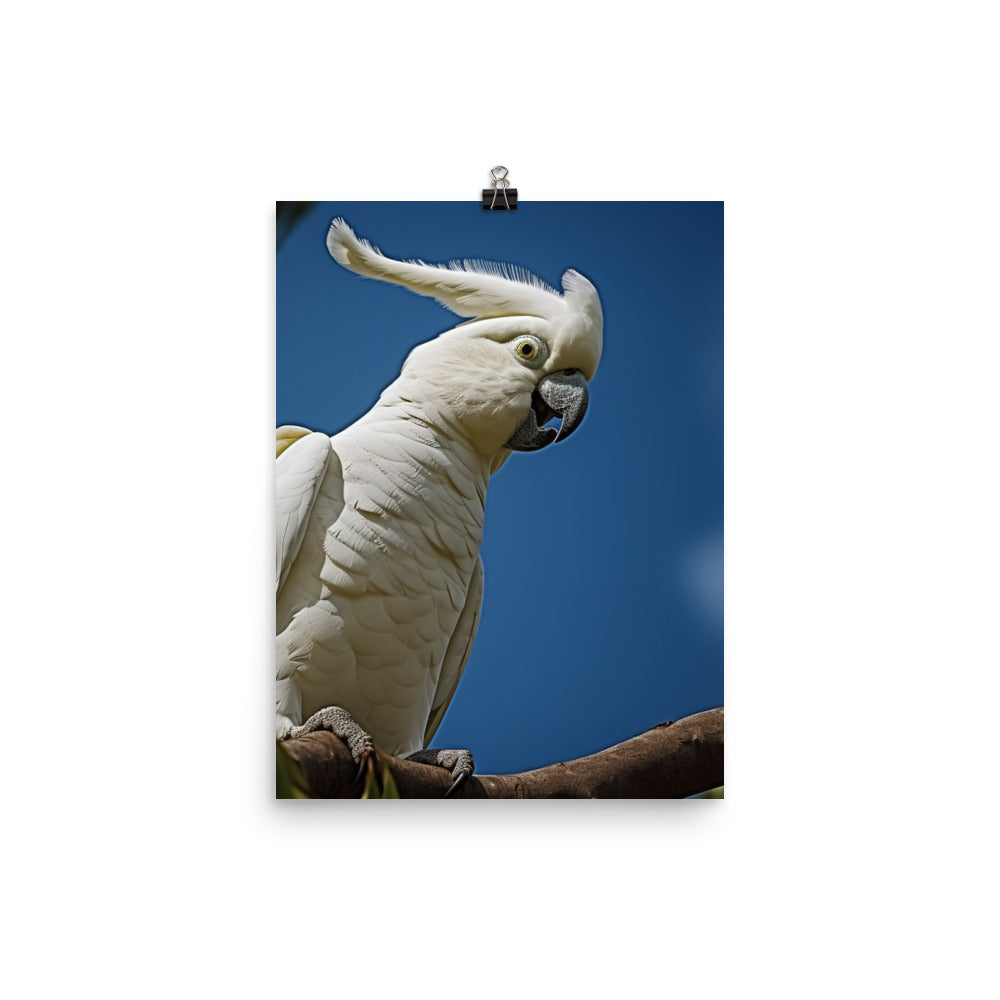 Snowy White Cockatoo Photo paper poster - PosterfyAI.com