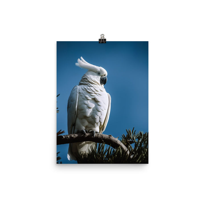 Snowy White Cockatoo Photo paper poster - PosterfyAI.com