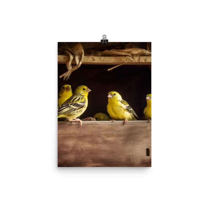 Singing canaries in a birdhouse Photo paper poster - PosterfyAI.com