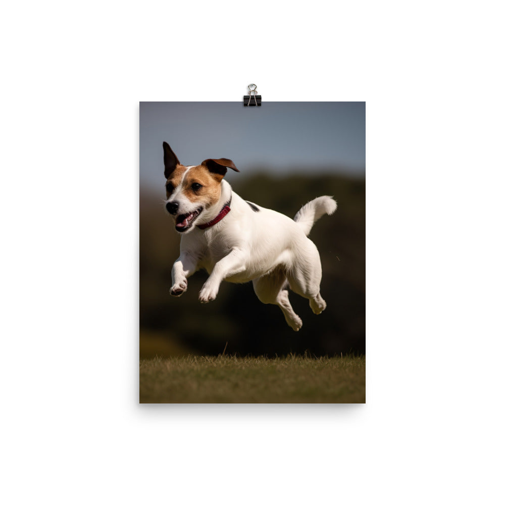 Spirited Jack Russell Terrier at Play Photo paper poster - PosterfyAI.com