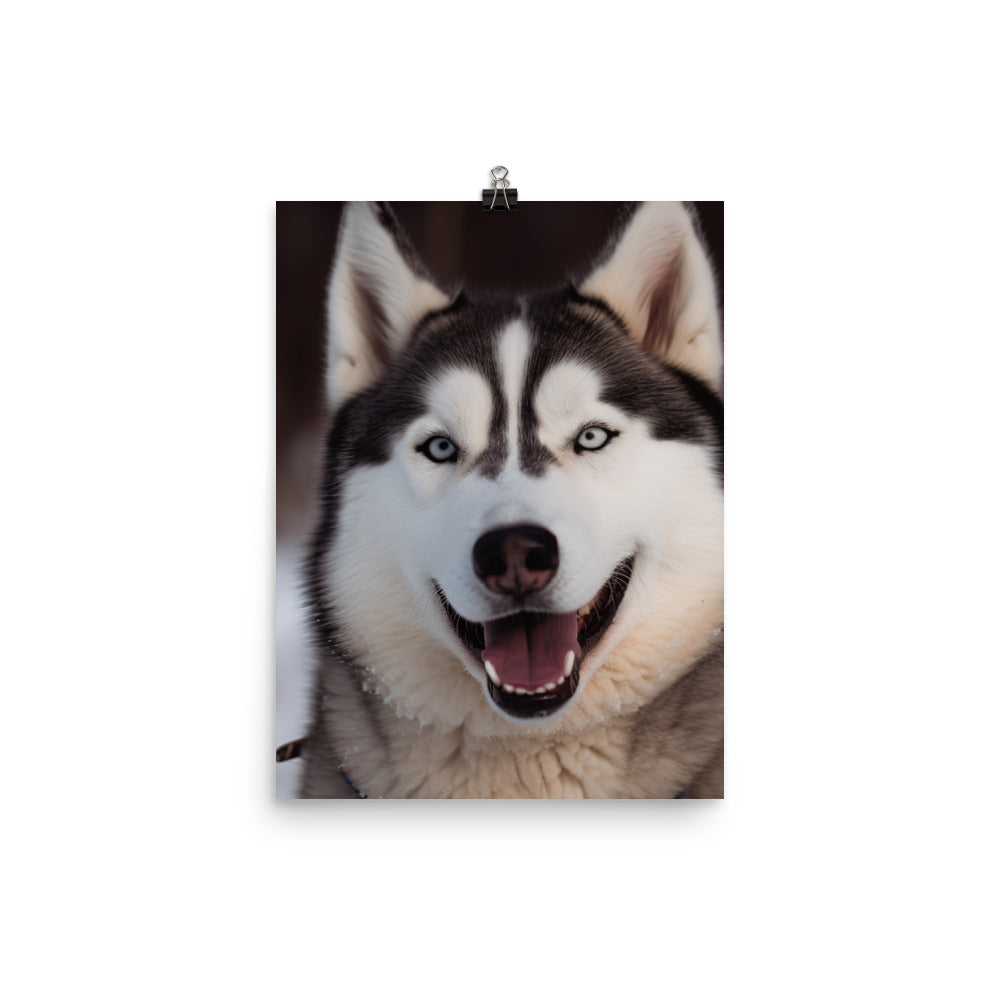 Siberian Smile Photo paper poster - PosterfyAI.com