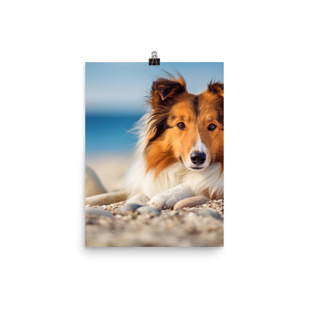 Shetland Sheepdog Relaxing on the Beach Photo paper poster - PosterfyAI.com