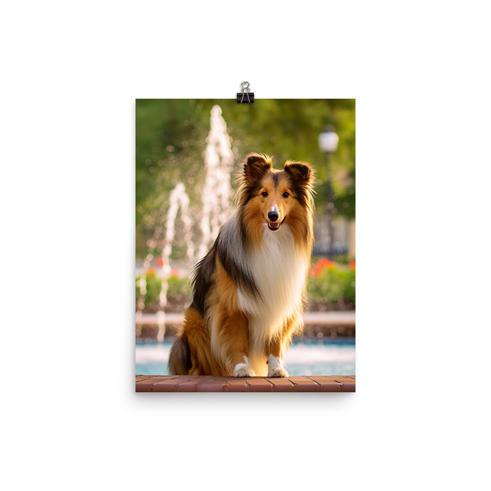 Shetland Sheepdog Posing in the Park Photo paper poster - PosterfyAI.com