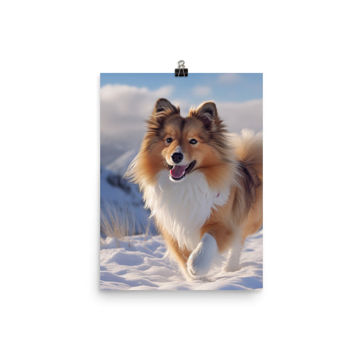 Shetland Sheepdog Playing in the Snow Photo paper poster - PosterfyAI.com