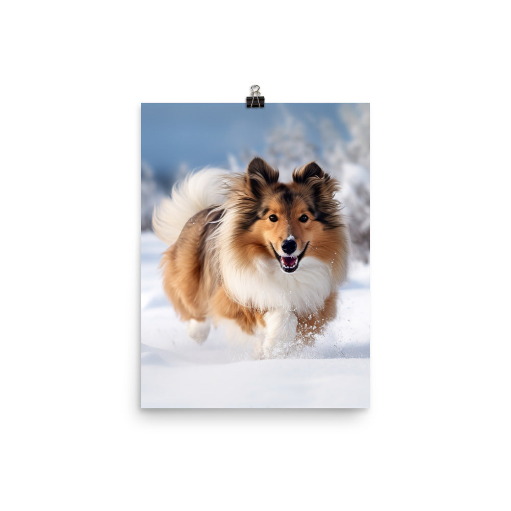 Shetland Sheepdog Playing in the Snow Photo paper poster - PosterfyAI.com
