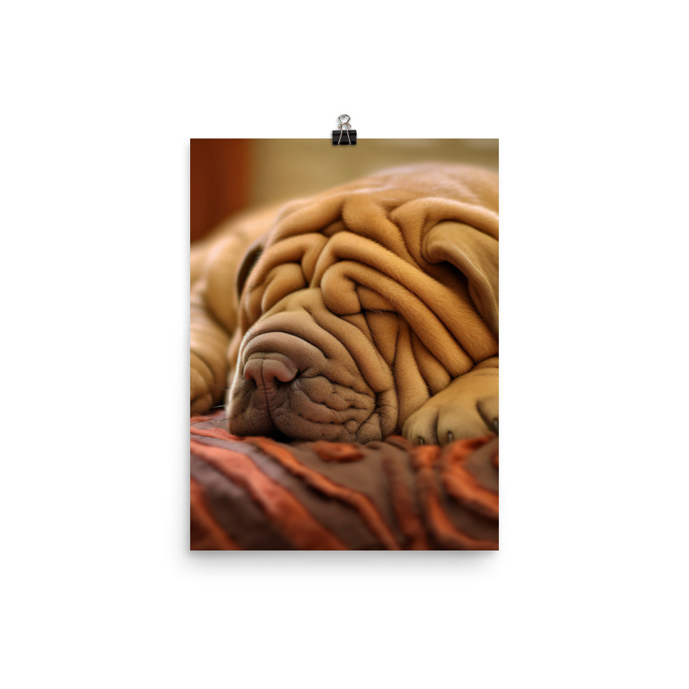 Shar Pei Dreaming Photo paper poster - PosterfyAI.com