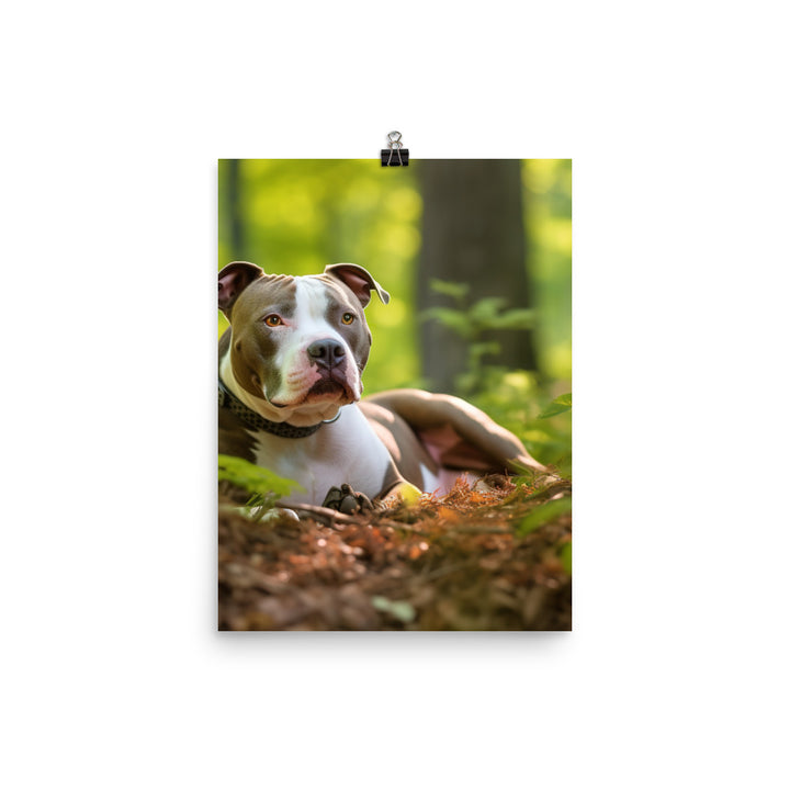 Serene American Staffordshire Terrier Photo paper poster - PosterfyAI.com
