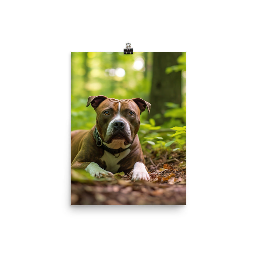 Serene American Staffordshire Terrier Photo paper poster - PosterfyAI.com