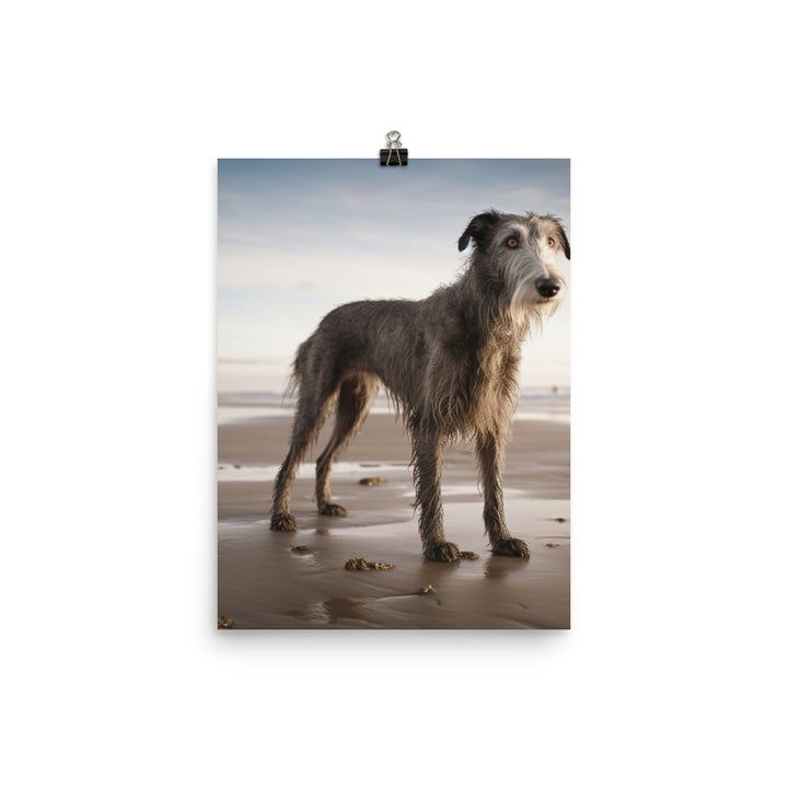 Scottish Deerhound on the Beach Photo paper poster - PosterfyAI.com