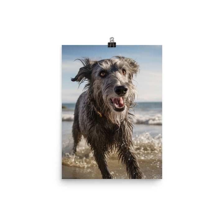 Scottish Deerhound on the Beach Photo paper poster - PosterfyAI.com