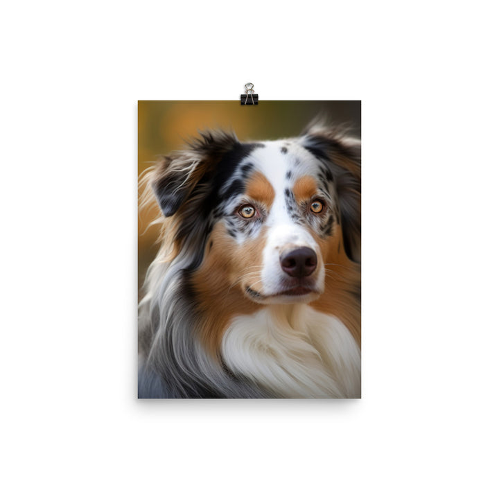 Australian Shepherd Photo paper poster - PosterfyAI.com