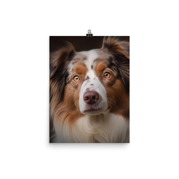 Australian Shepherd Photo paper poster - PosterfyAI.com