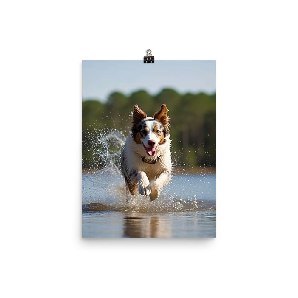 Australian Shepherd Photo paper poster - PosterfyAI.com
