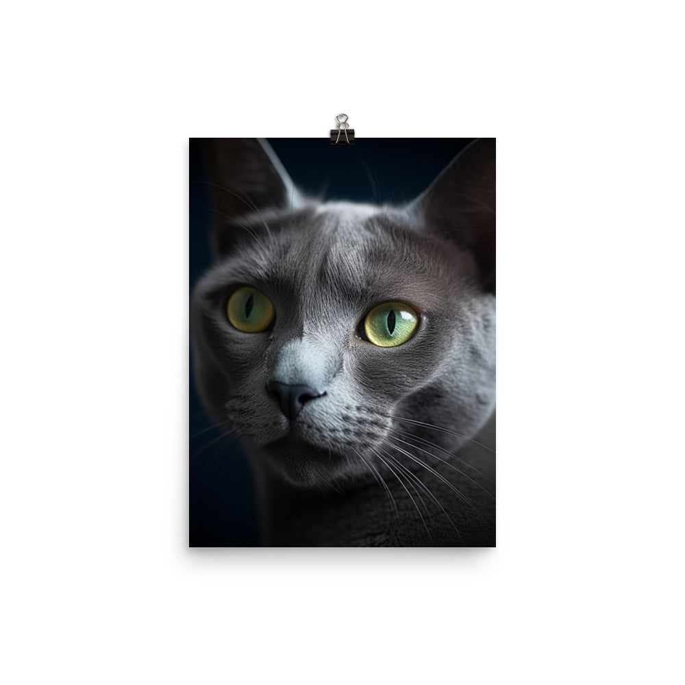 Beauty of Russian Blue Cat Photo paper poster - PosterfyAI.com