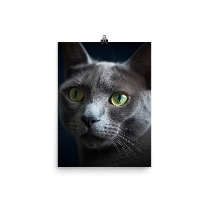 Beauty of Russian Blue Cat Photo paper poster - PosterfyAI.com