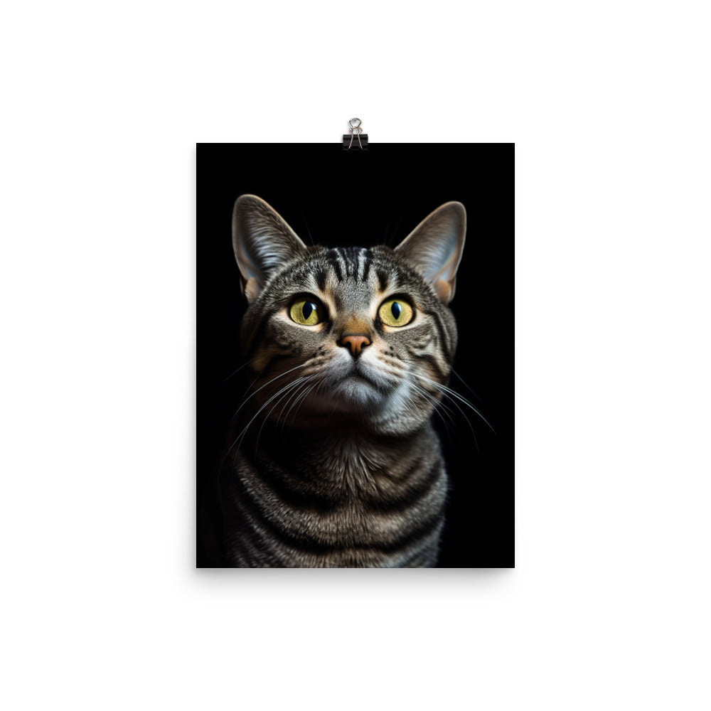 American Shorthair Cat Photo paper poster - PosterfyAI.com