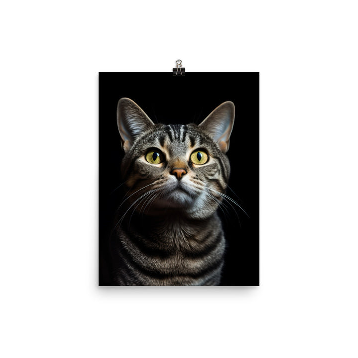 American Shorthair Cat Photo paper poster - PosterfyAI.com