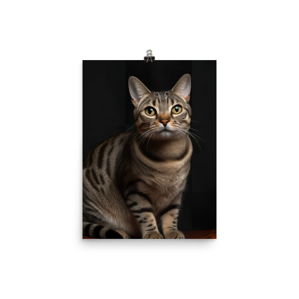 American Shorthair Cat Photo paper poster - PosterfyAI.com