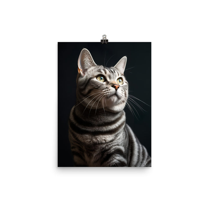 American Shorthair Cat Photo paper poster - PosterfyAI.com