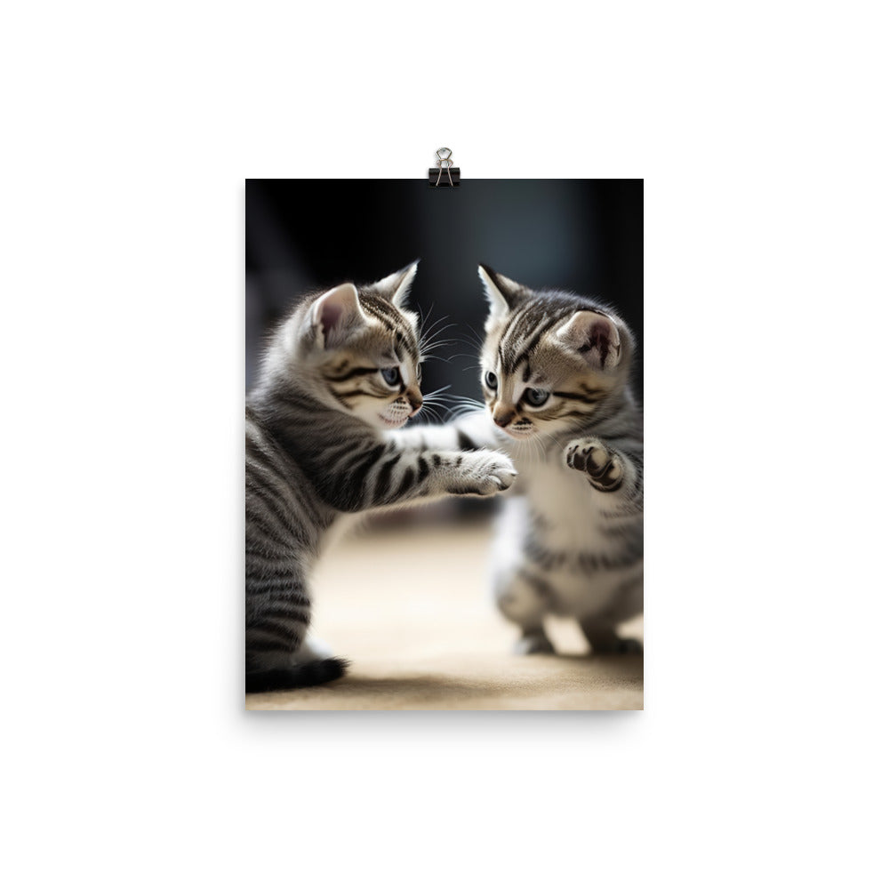 American Shorthair Cat Photo paper poster - PosterfyAI.com