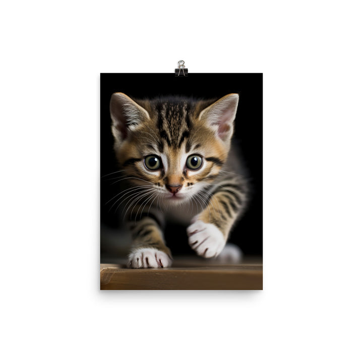 American Shorthair Cat Photo paper poster - PosterfyAI.com