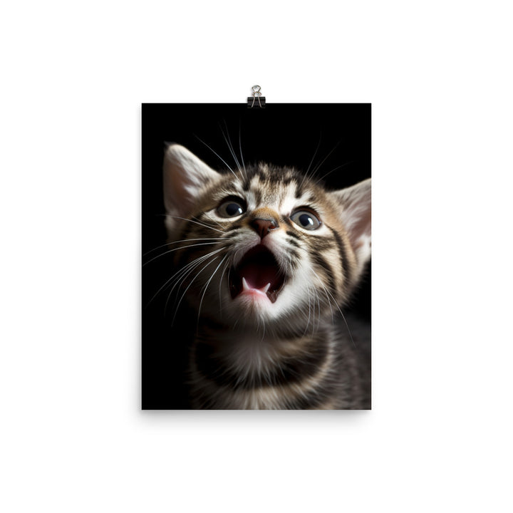 American Shorthair Cat Photo paper poster - PosterfyAI.com
