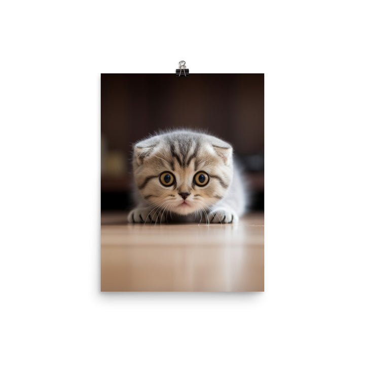 Scottish Fold Kitten Photo paper poster - PosterfyAI.com