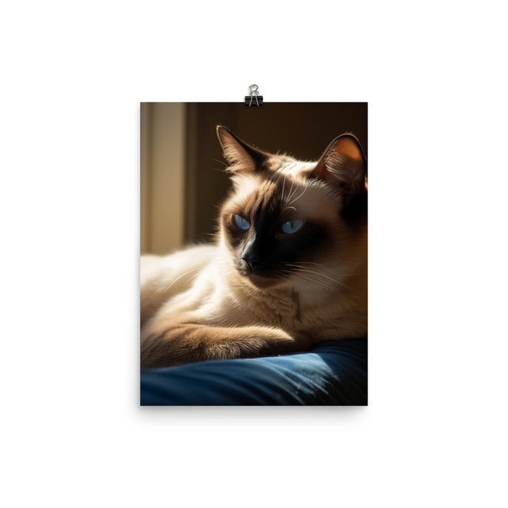 Siamese Serenity Photo paper poster - PosterfyAI.com