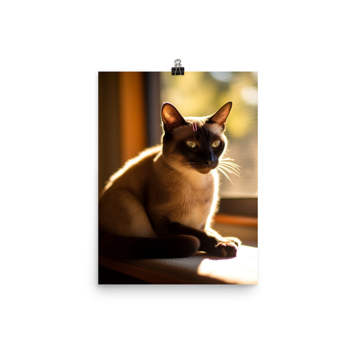 Siamese in Sunlit Splendor Photo paper poster - PosterfyAI.com