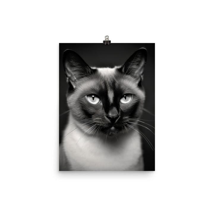 Siamese Charm in Black and White Photo paper poster - PosterfyAI.com