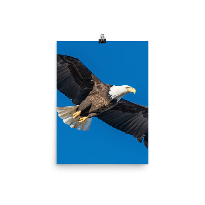 Beautiful Bald Eagle in Flight Against the Blue Sky Photo paper poster - PosterfyAI.com