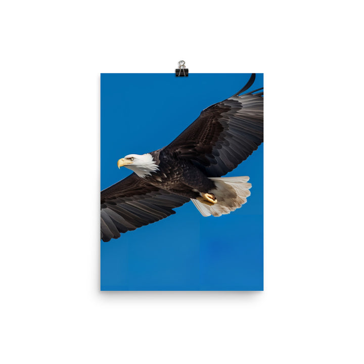 Beautiful Bald Eagle in Flight Against the Blue Sky Photo paper poster - PosterfyAI.com
