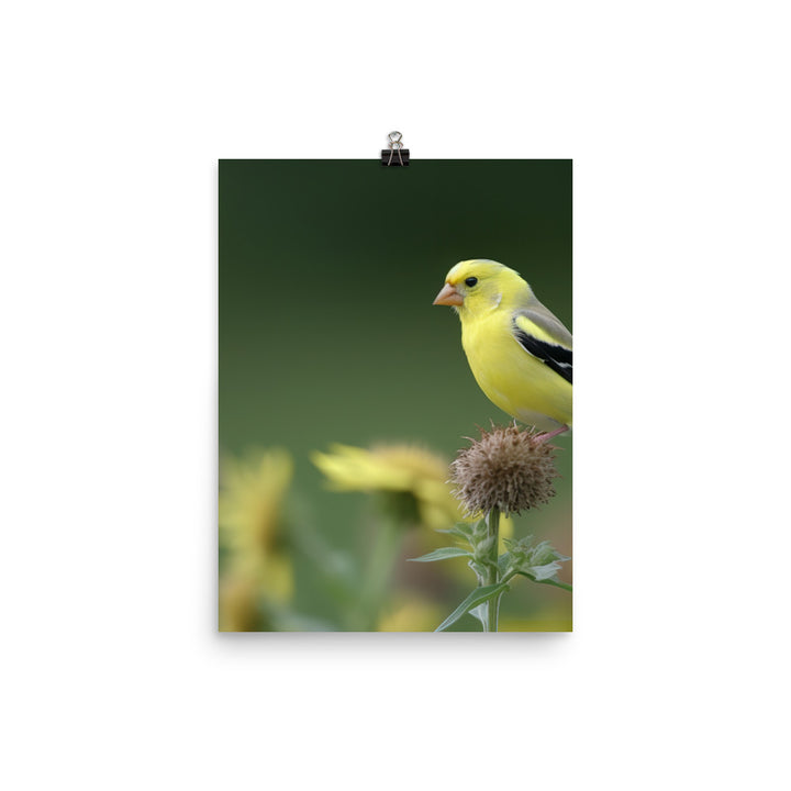 American Goldfinch in the Garden Photo paper poster - PosterfyAI.com