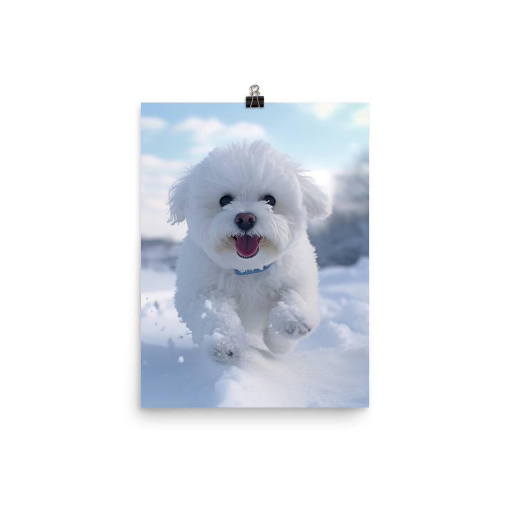 Bichon Frise in the Snow Photo paper poster - PosterfyAI.com