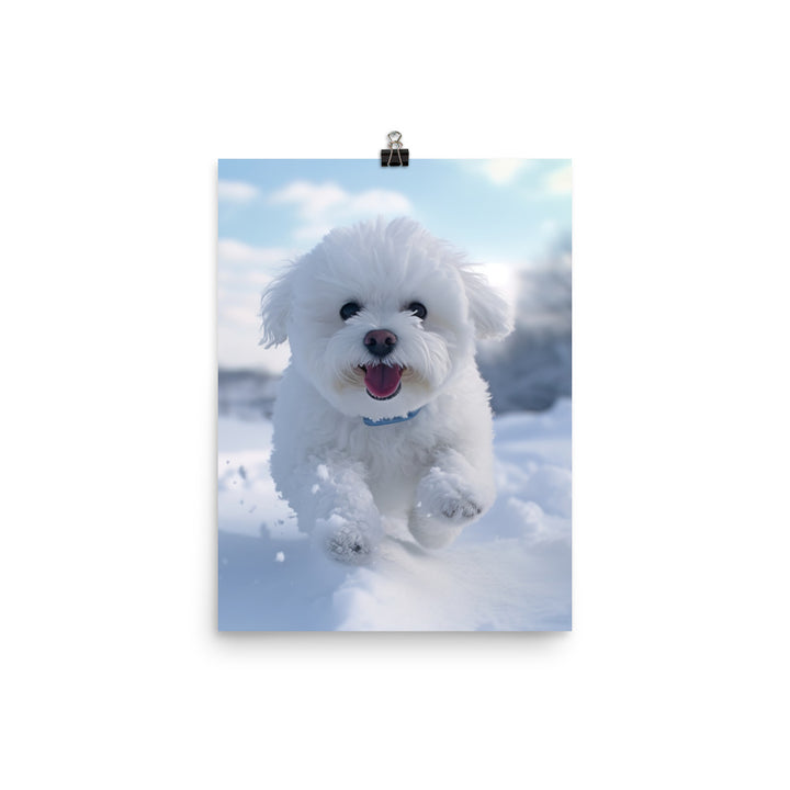 Bichon Frise in the Snow Photo paper poster - PosterfyAI.com